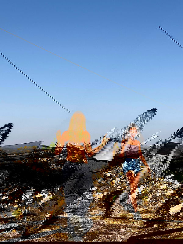 iambohema.v2 iambohema.v2 archive image