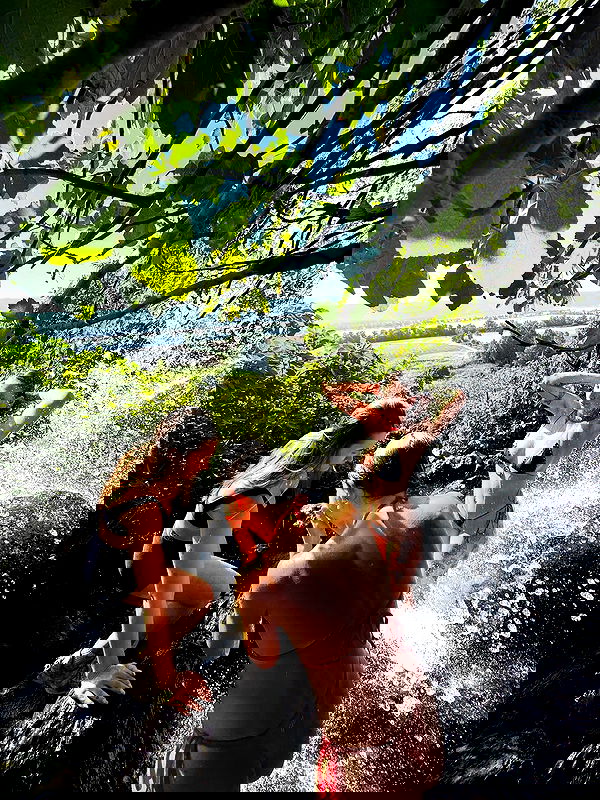 iambohema.v2 iambohema.v2 archive image