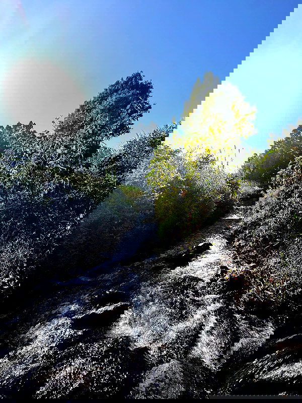 iambohema.v2 iambohema.v2 archive image