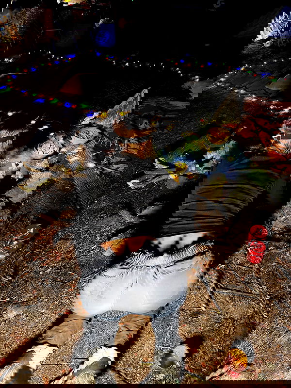 iambohema.v2 iambohema.v2 archive image