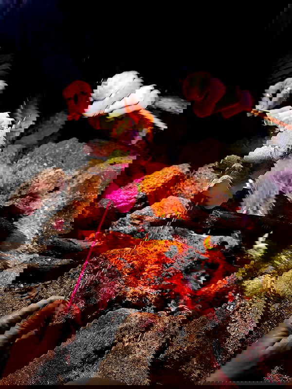 iambohema.v2 iambohema.v2 archive image