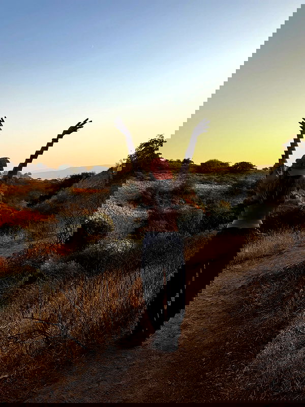 iambohema.v2 iambohema.v2 archive image