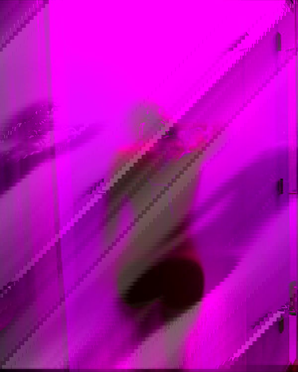 iambohema.v2 iambohema.v2 archive image