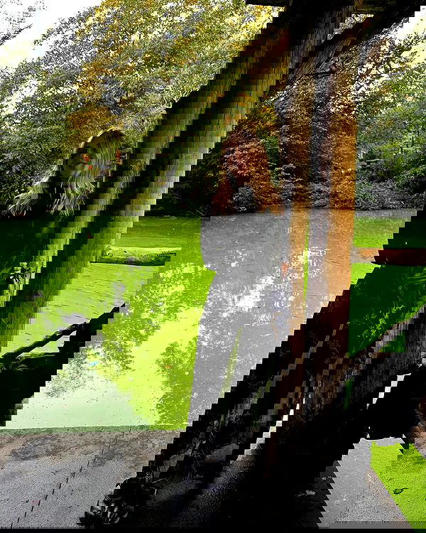 iambohema.v2 iambohema.v2 archive image