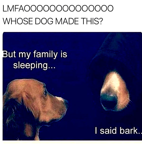 iamcardib instagram image archive image