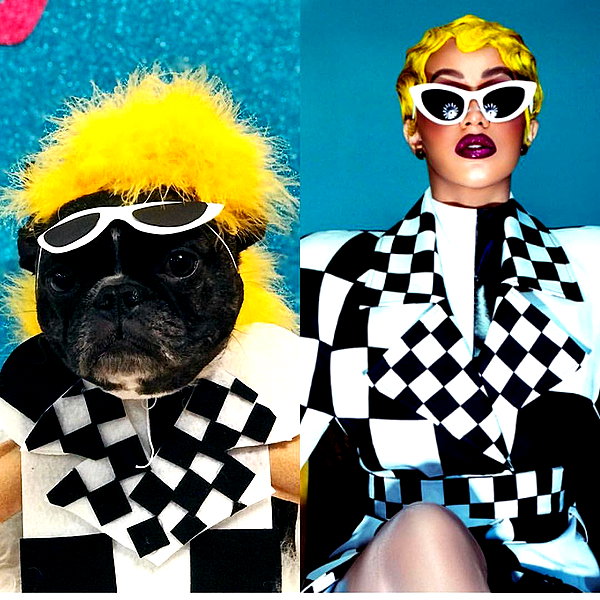 iamcardib instagram image archive image