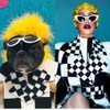 iamcardib Altpins Profile Picture