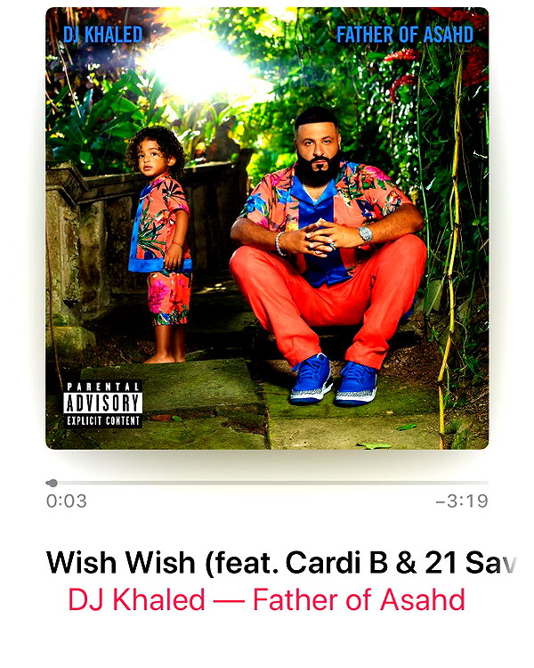 iamcardib instagram image archive image