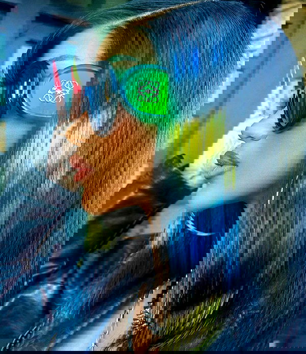 iamcardib iamcardib archive image