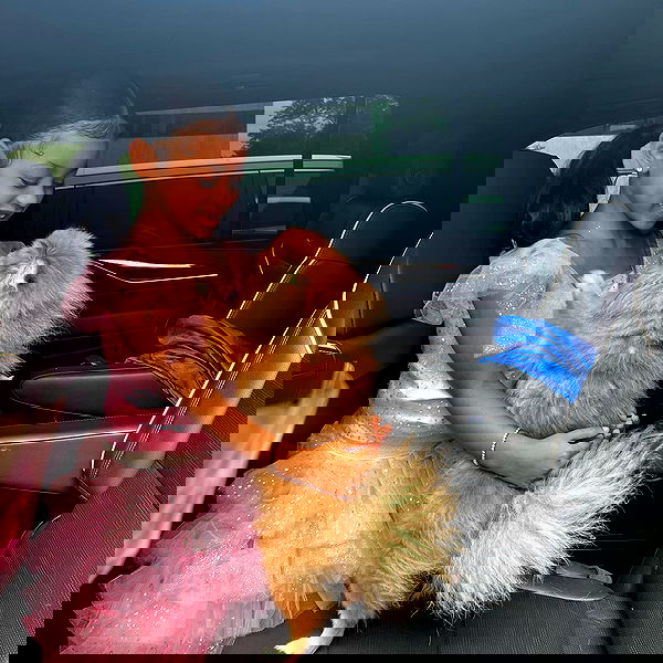 iamcardib iamcardib archive image