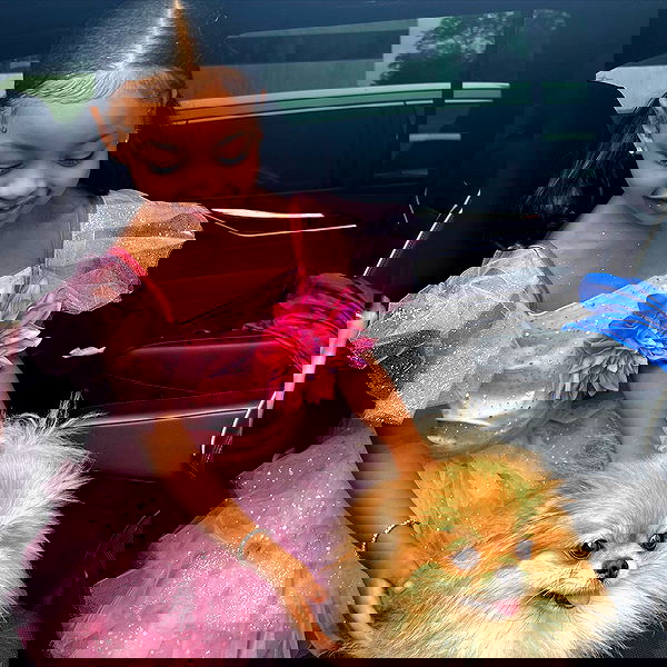 iamcardib iamcardib archive image