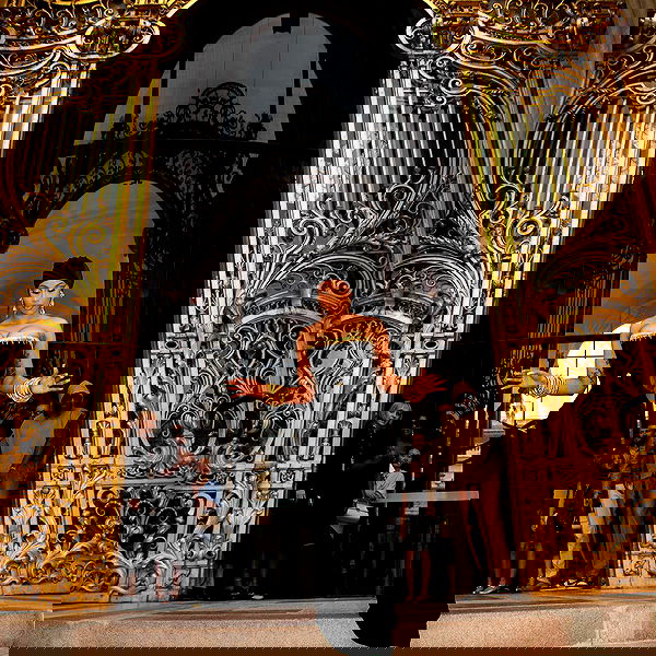 iamcardib iamcardib archive image