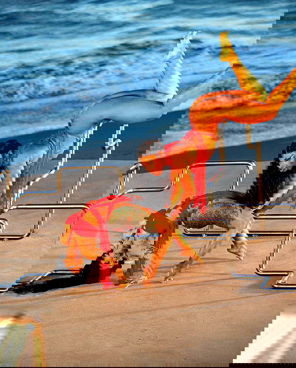 iamcardib iamcardib archive image