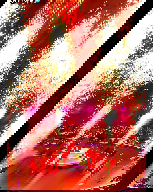 iamcardib iamcardib archive image