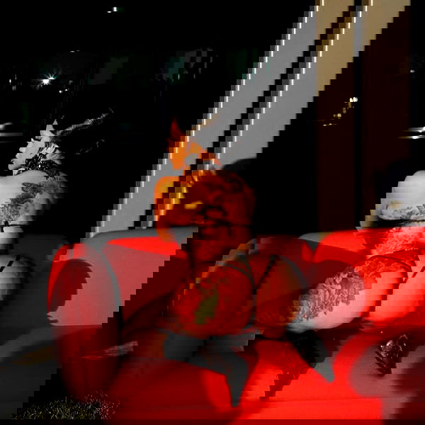 iamcardib iamcardib archive image