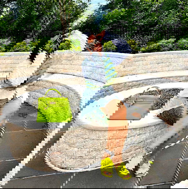 iamcardib iamcardib archive image