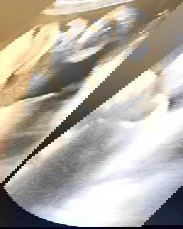 iamcardib iamcardib archive image