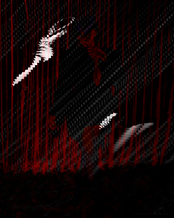 iamcardib iamcardib archive image