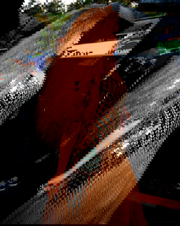 iamcardib iamcardib archive image