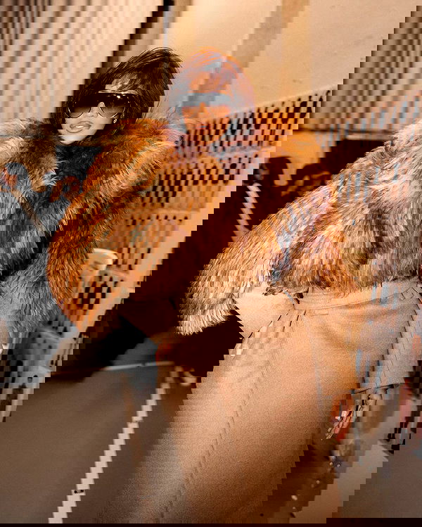 iamcardib iamcardib archive image