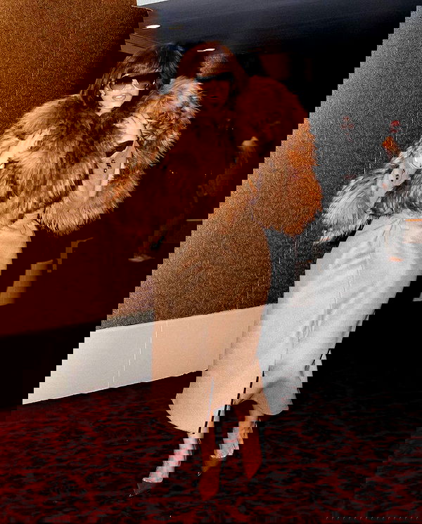 iamcardib iamcardib archive image