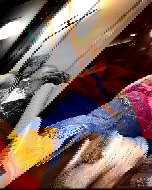 iamcardib iamcardib archive image