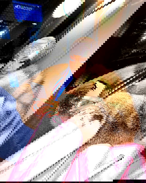 iamcardib iamcardib archive image