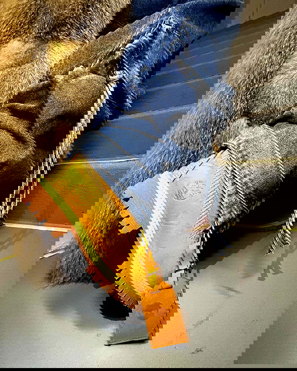 iamcardib iamcardib archive image