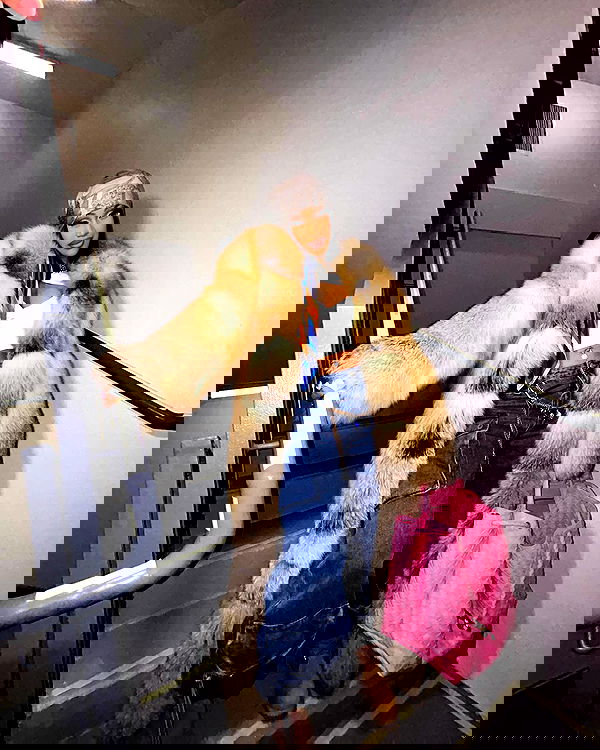 iamcardib iamcardib archive image