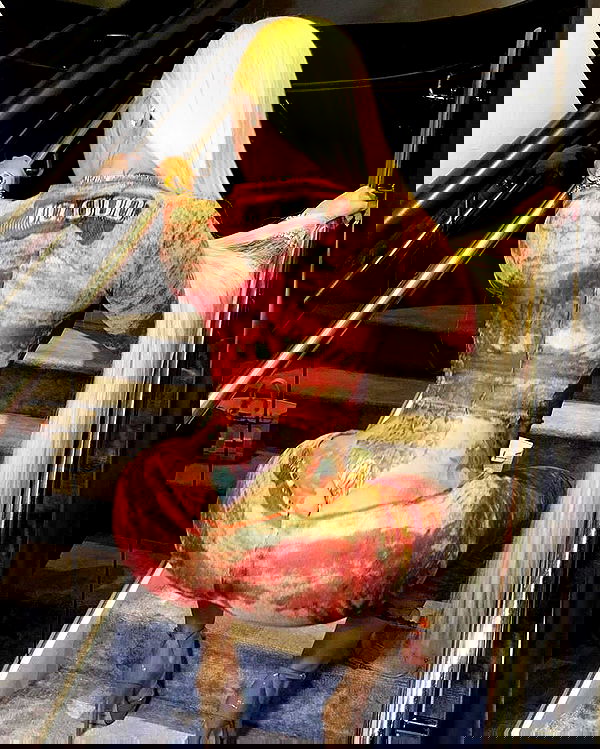 iamcardib iamcardib archive image