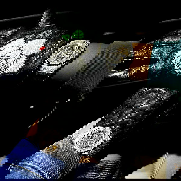 iamcardib iamcardib archive image