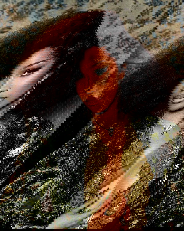 iamcardib iamcardib archive image