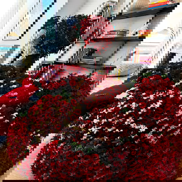 iamcardib iamcardib archive image