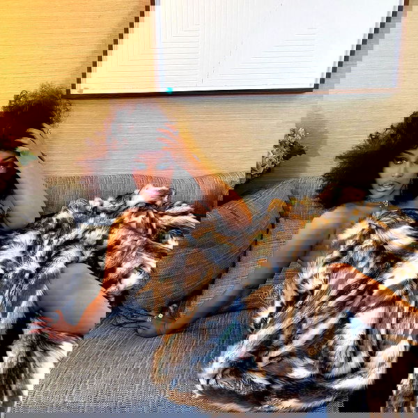 iamcardib iamcardib archive image