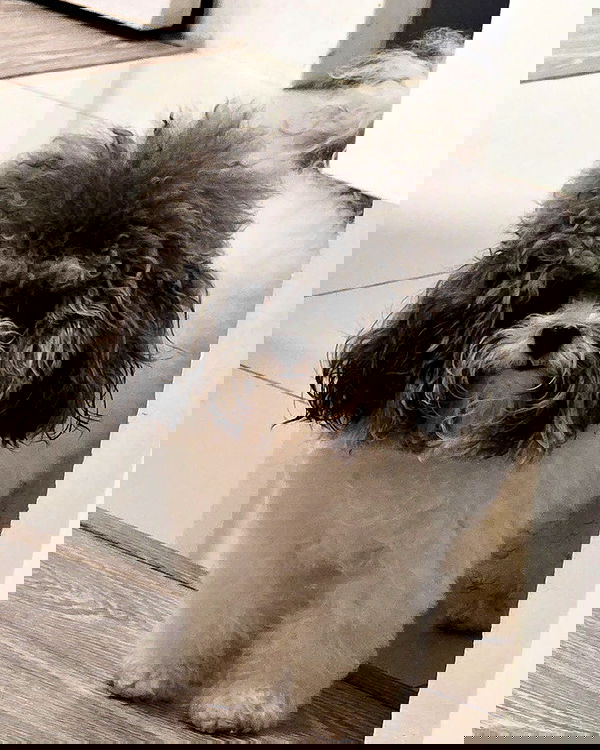 iamdorasnow iamdorasnow archive image