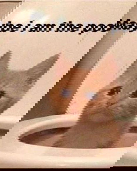 iamm3dusa instagram image archive image