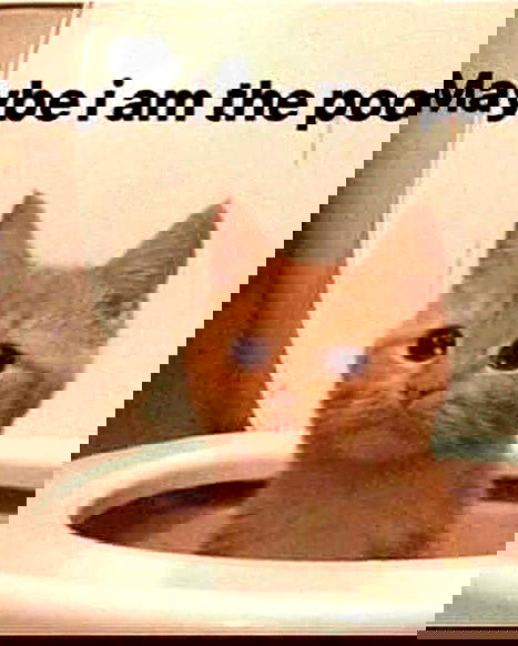 iamm3dusa image ~ Altpins