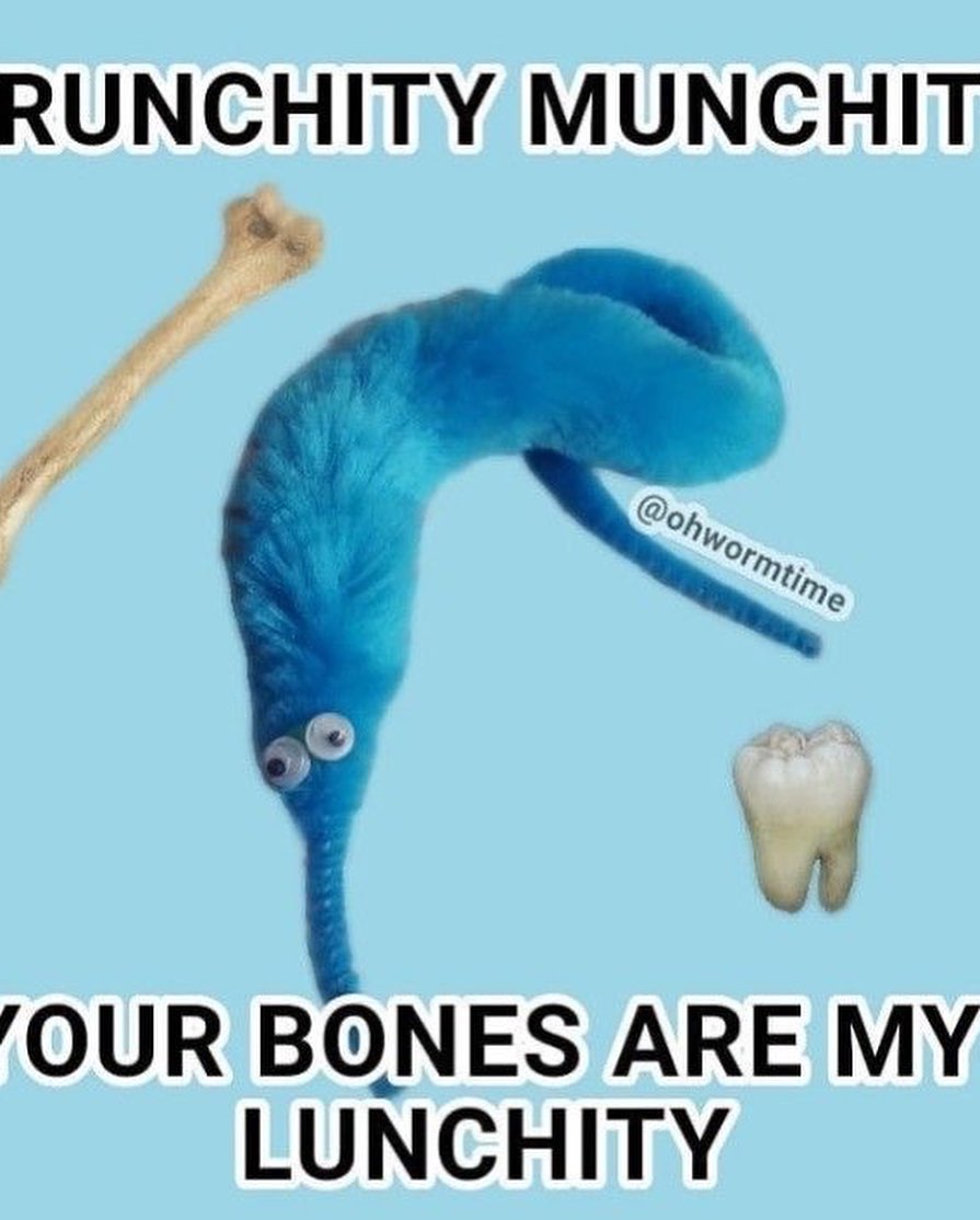 iamm3dusa instagram image archive image