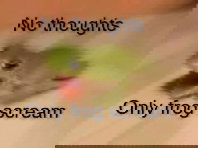 iamm3dusa instagram image archive image