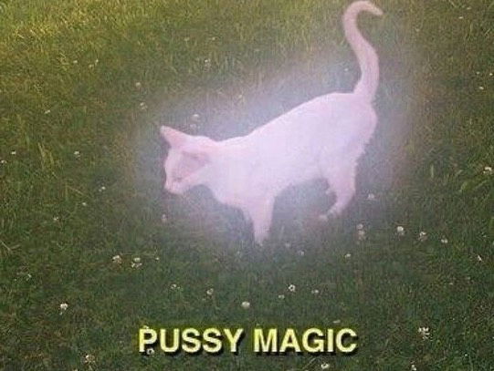 iamm3dusa instagram image archive image