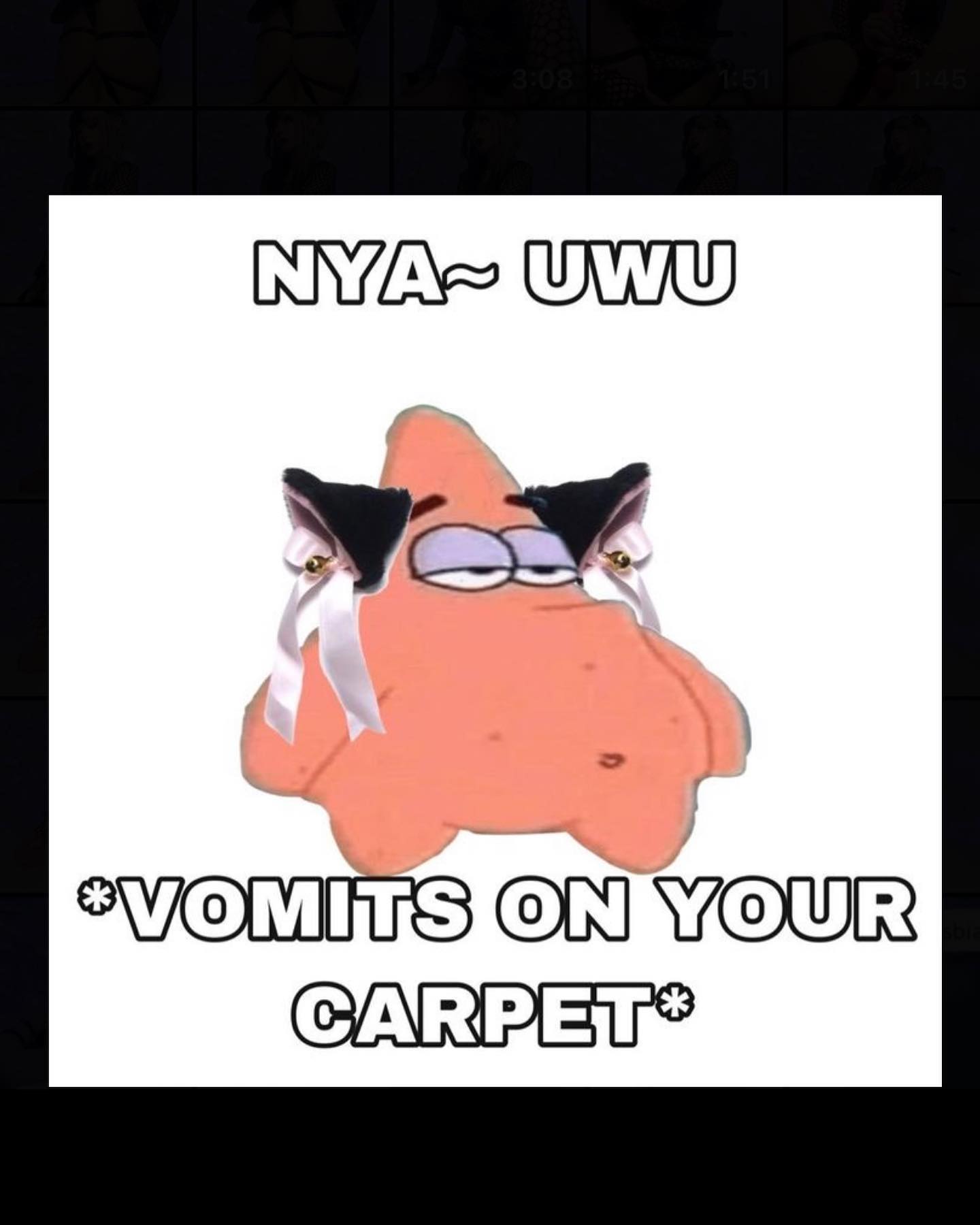 iamm3dusa instagram image archive image