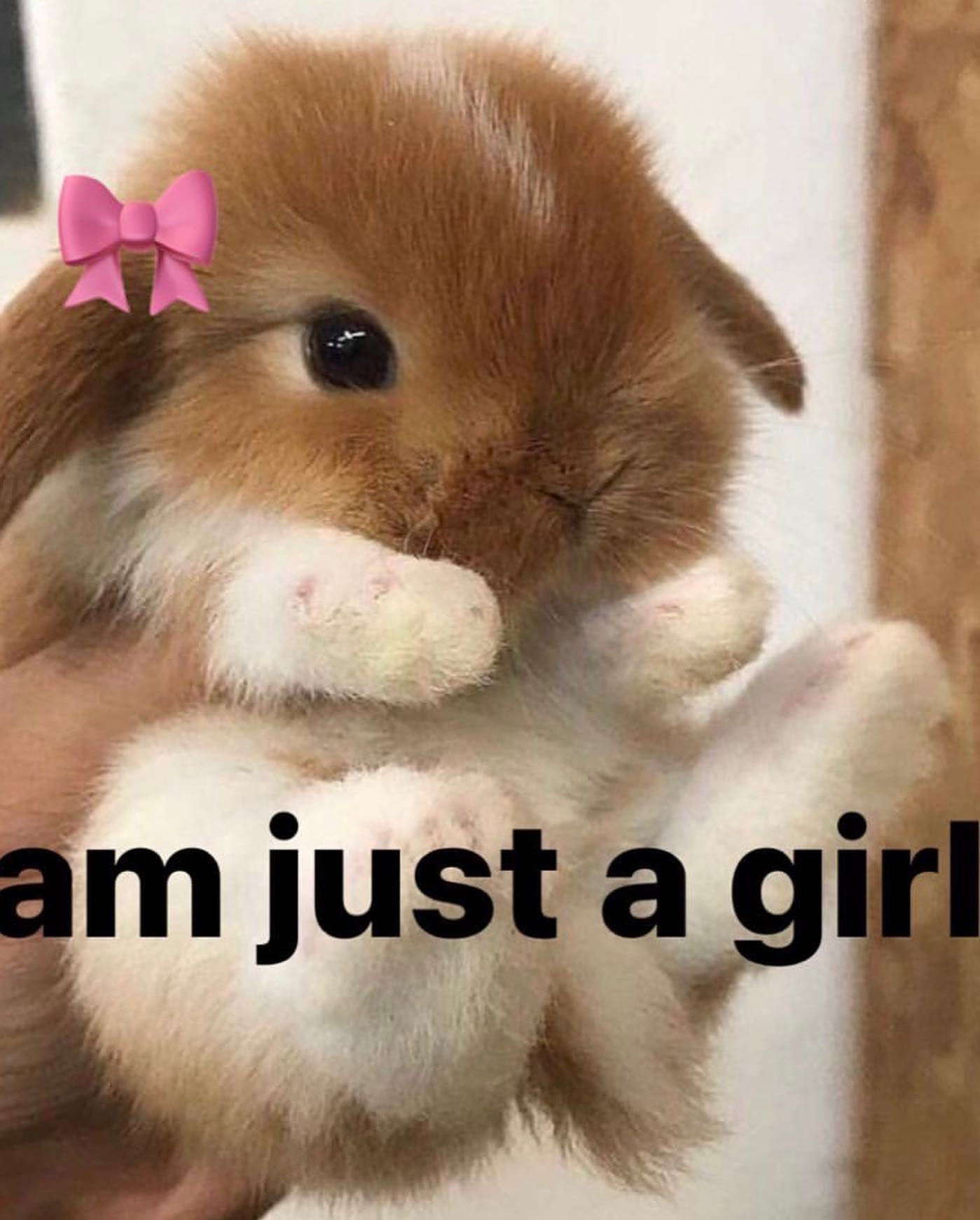 iamm3dusa instagram image archive image