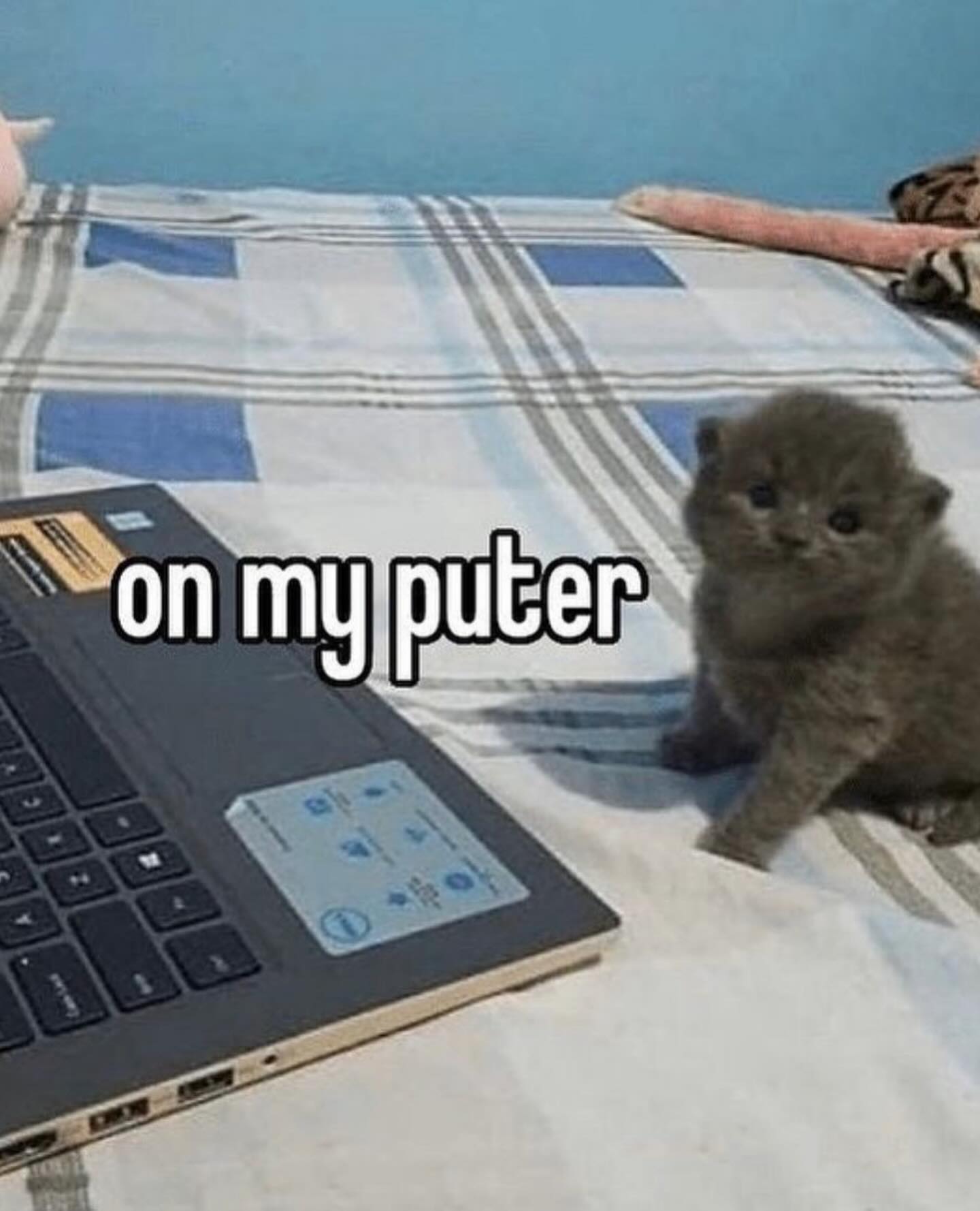 iamm3dusa instagram image archive image