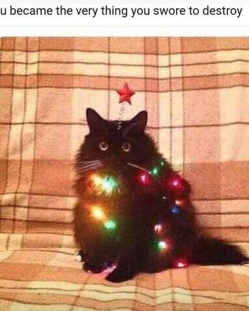 iamm3dusa instagram image archive image