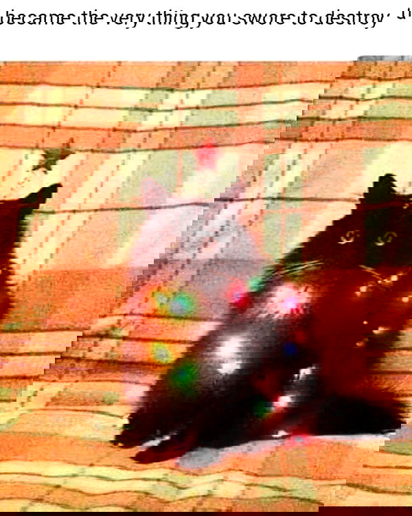 iamm3dusa image ~ Altpins