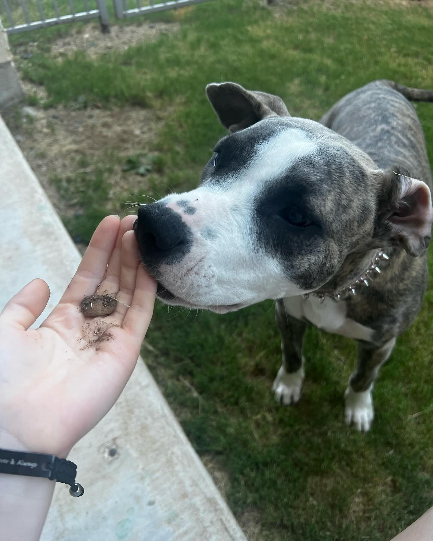 iamm3dusa instagram image archive image