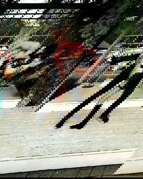 iamm3dusa image ~ Altpins