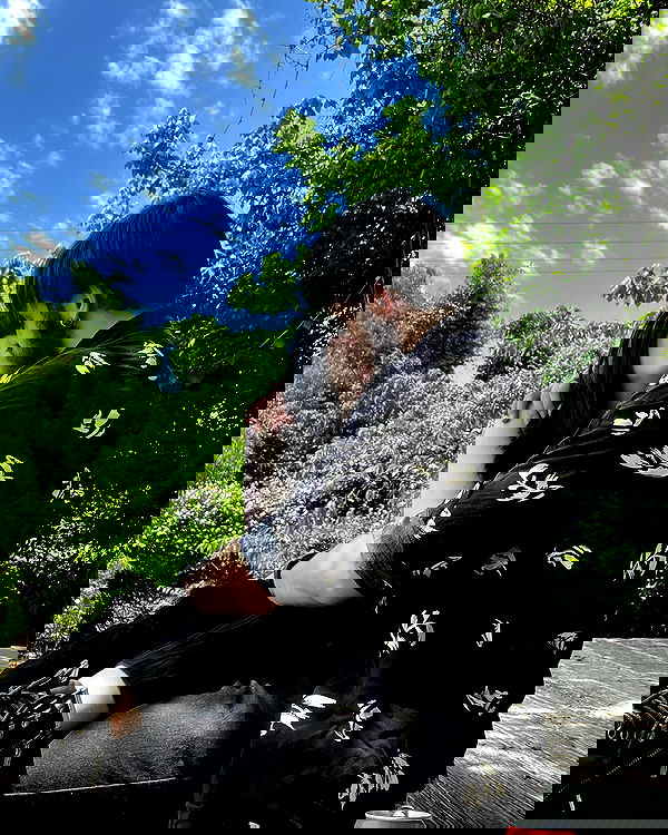 iamm3dusa image ~ Altpins