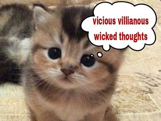 iamm3dusa instagram image archive image