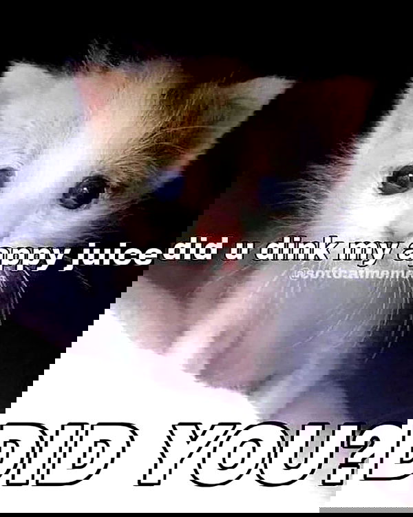 iamm3dusa image ~ Altpins